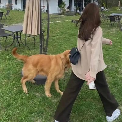 烽火人间